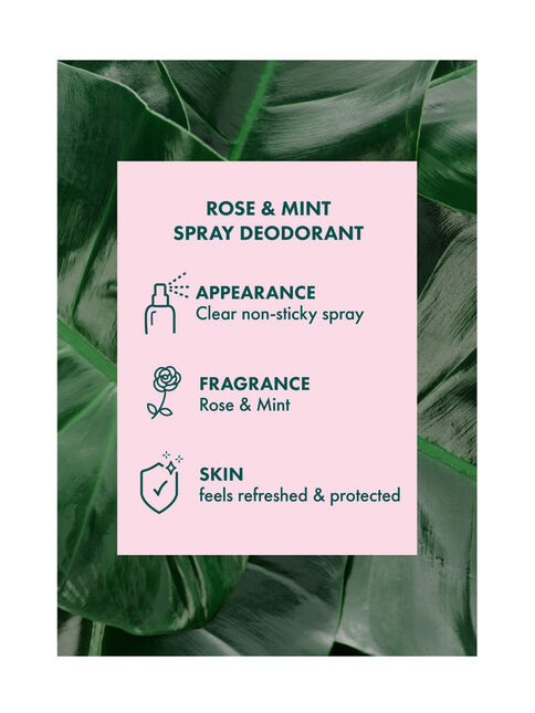 Rose & Mint Spray Deodorant 150ml
